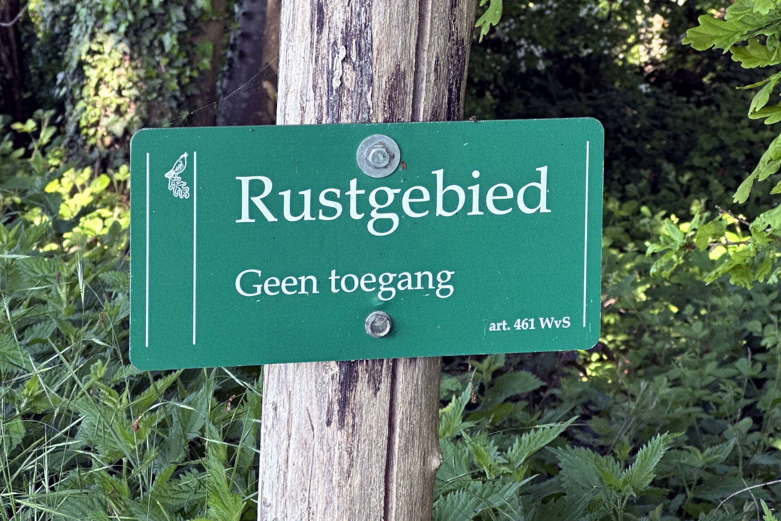 Workshop ‘December break’ Landgoed Bleijendijk